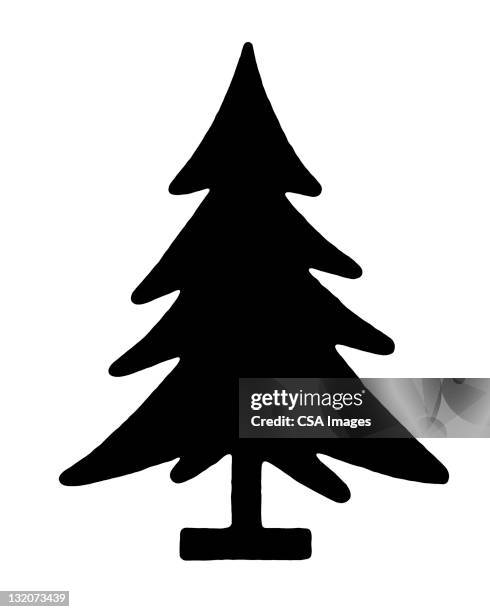 pine tree - pine wood stock illustrations