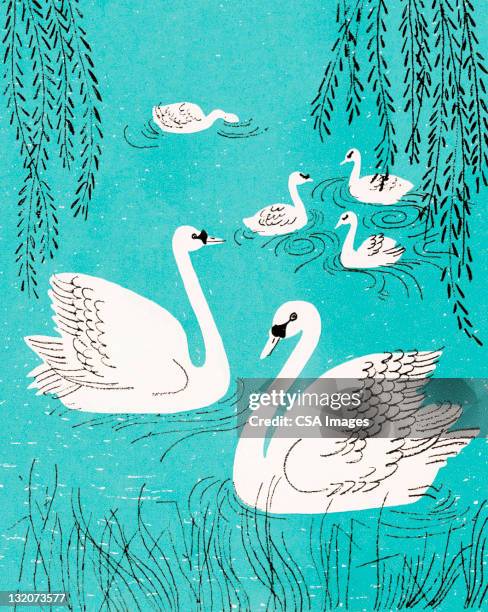 illustrations, cliparts, dessins animés et icônes de piscine du swan - cygne