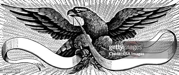 eagle mit banner - bald eagle stock-grafiken, -clipart, -cartoons und -symbole