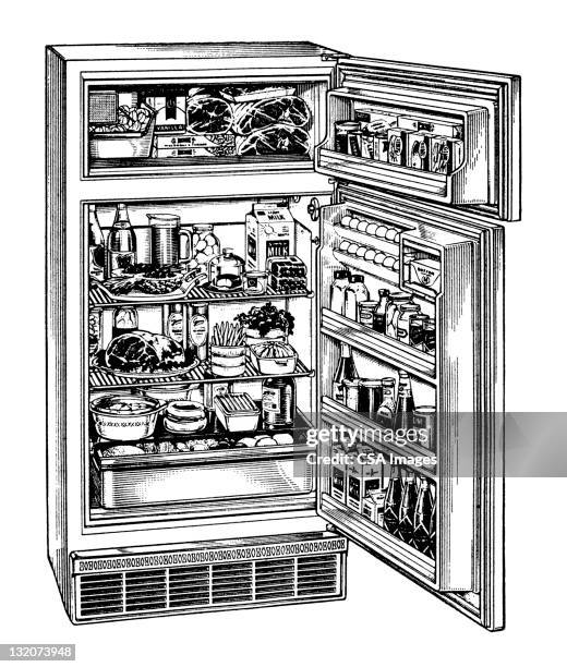 full refrigerator and freezer - inside of fridge stock illustrations