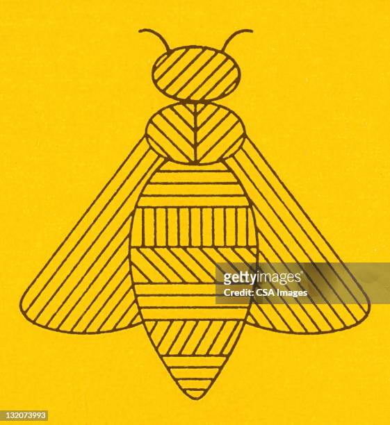 stylized bee - hautflügler stock-grafiken, -clipart, -cartoons und -symbole