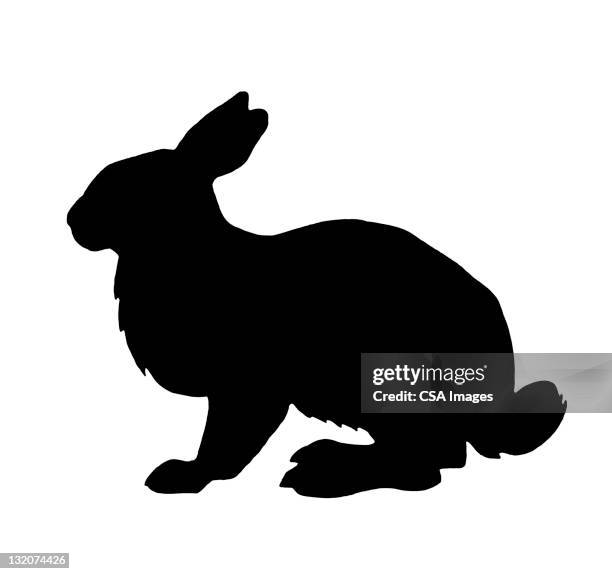 rabbit - rabbit logo stock illustrations
