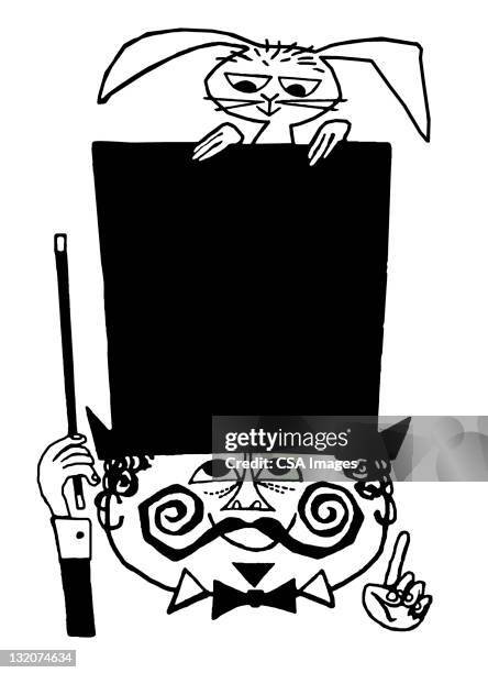 magician with top hat and rabbit - animal hand stock illustrations