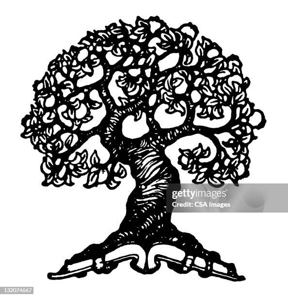 28 300点のモノクロ樹木イラスト素材 Getty Images 28 300点のモノクロ樹木イラスト素材 Getty Images
