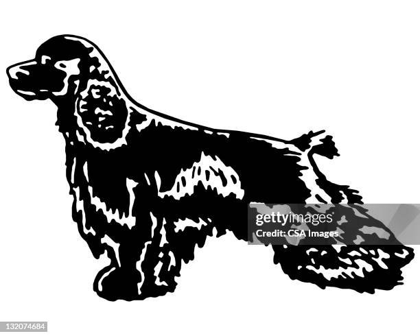 cocker spaniel - cocker spaniel stock illustrations