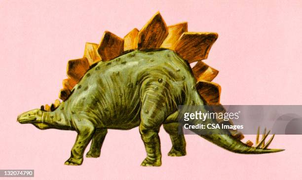 stegosaurus dinosaurier - thyreophora stock-grafiken, -clipart, -cartoons und -symbole
