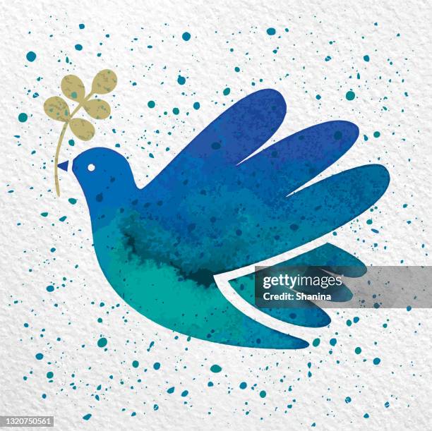 ilustraciones, imágenes clip art, dibujos animados e iconos de stock de vector acuarela azul paloma de la paz - paloma ave