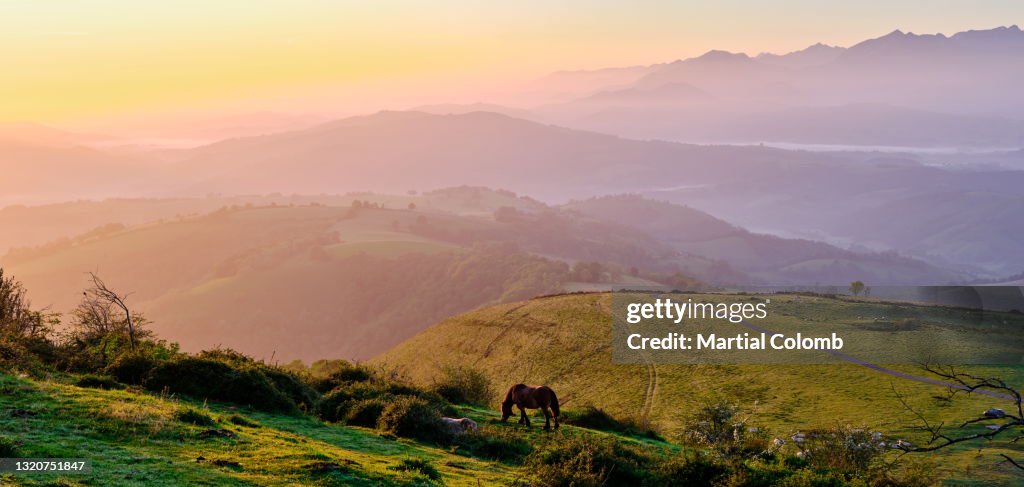Wonderful sunrise in a rolling landscape