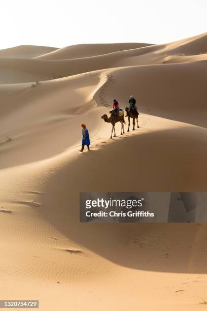 moroccan sahara desert, morocco - wilderness guide stock-fotos und bilder