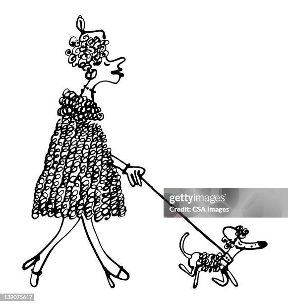 woman walking poodle - pet leash stock illustrations