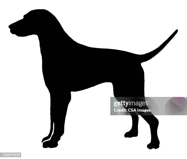 silhouette of dog - best in show stock illustrations