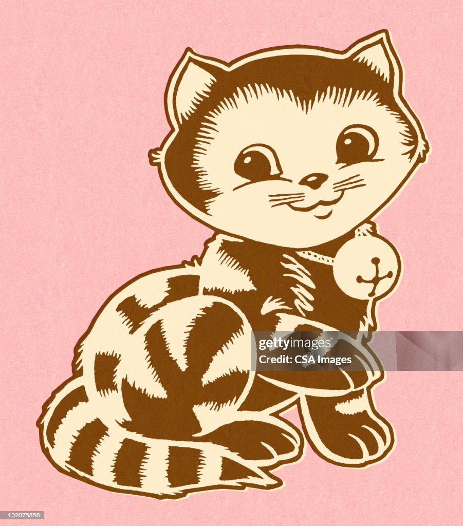 Cat Wearing Bell on Pink Background
