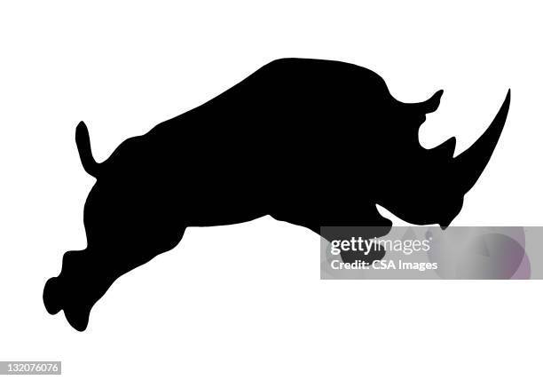 rhino silhouette - in silhouette zoo animals stock illustrations