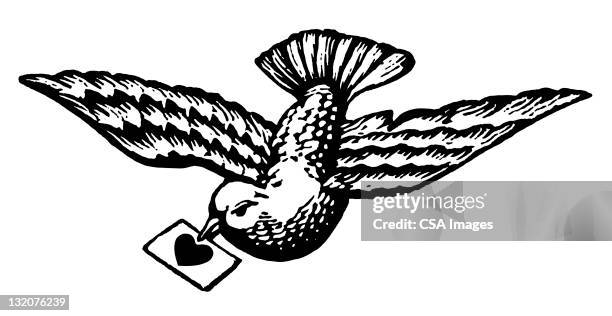 bird carrying love letter - black and white bird clip art stock illustrations
