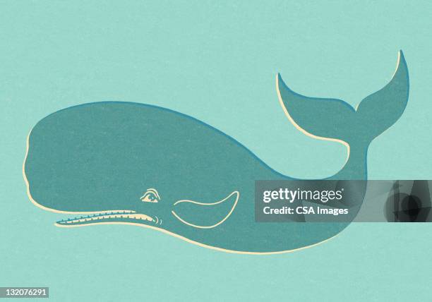 blue whale auf blauem hintergrund - tail fin stock-grafiken, -clipart, -cartoons und -symbole