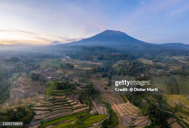 agung volcano and the muncan rice terraces in bali - agung stock pictures, royalty-free photos & images