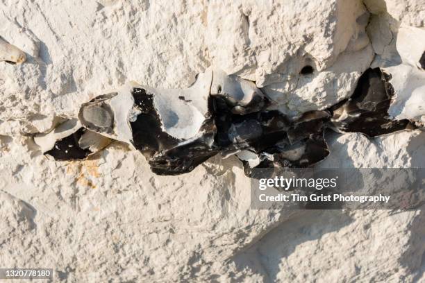 Calcareous Rocks Carbonaceous Rocks 697 Calcareous Rock Stock Photos, High-Res Pictures, and Images - Getty ...