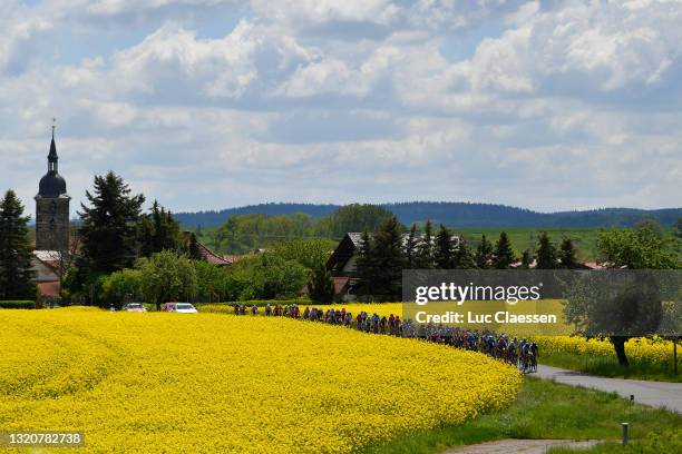 The peloton passing through flowery landscape during the 34th Internationale LOTTO Thüringen Ladies Tour 2021, Stage 6 a 97,8km stage from Gotha to...