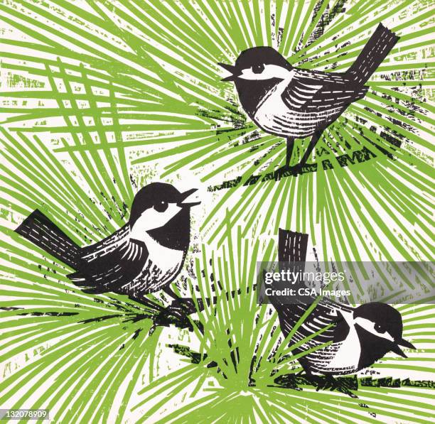 meisen in tree - chickadee stock-grafiken, -clipart, -cartoons und -symbole