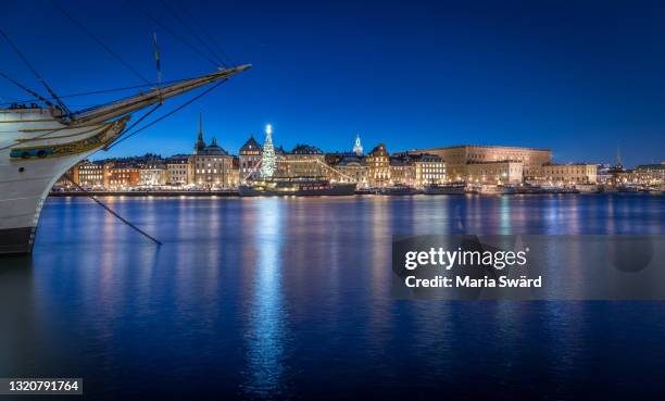 stockholm - old town skyline with christmas tree - stockholm landmark stock pictures, royalty-free photos & images