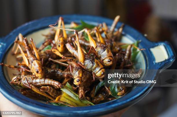 deep fried locust - insecte photos et images de collection