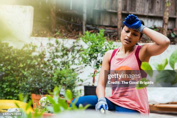 woman sweating while gardening - heat exhaustion stock pictures, royalty-free photos & images