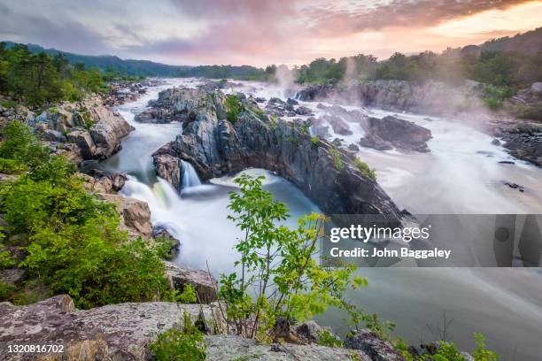 misty summer sunrise - mclean virgínia imagens e fotografias de stock