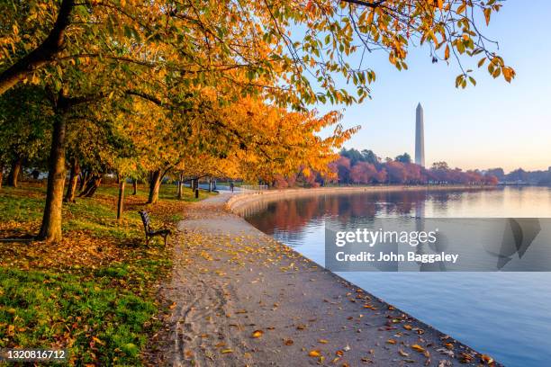 autumn morning at the tidal basin - washington monument dc stockfoto's en -beelden