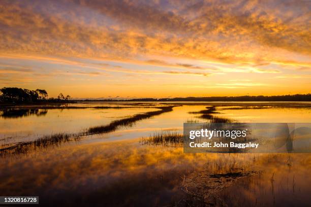 golden hour in chincoteague - chincoteague island stock pictures, royalty-free photos & images