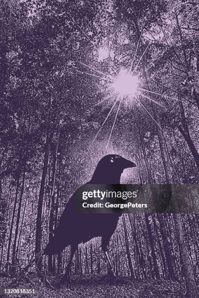 121点の魚眼レンズ 風景イラスト素材 Getty Images 121点の魚眼レンズ 風景イラスト素材 Getty Images