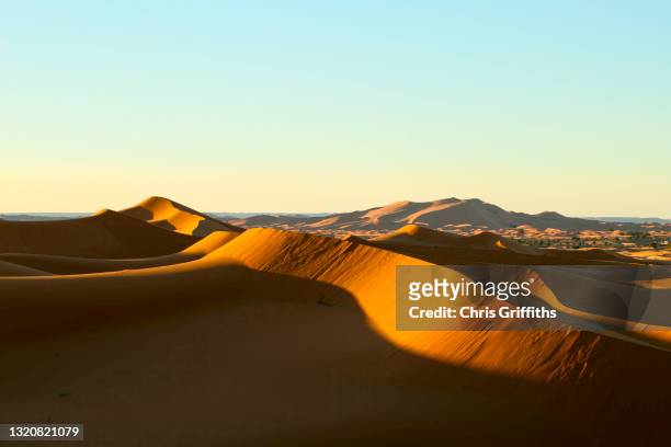 erg chebbi, moroccan sahara - sahara　sunrise stock pictures, royalty-free photos & images