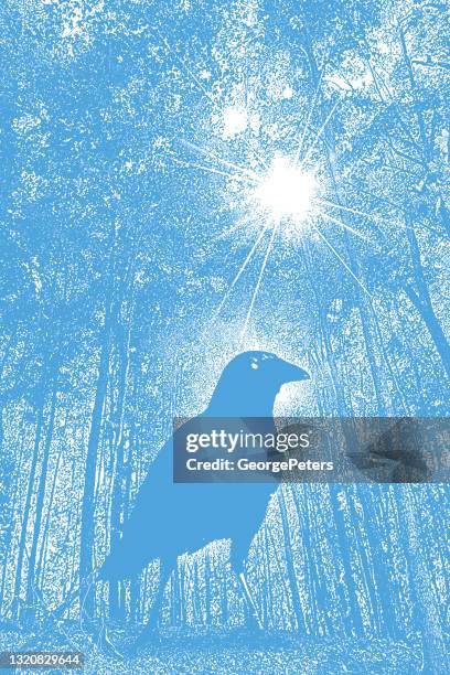 forest footpath with autumn leaves and raven - trees looking up stock illustrations