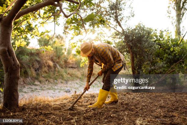 Men Spring Planting Image Farmer Planting Seeds Photos and Premium High Res Pictures - Getty Images
