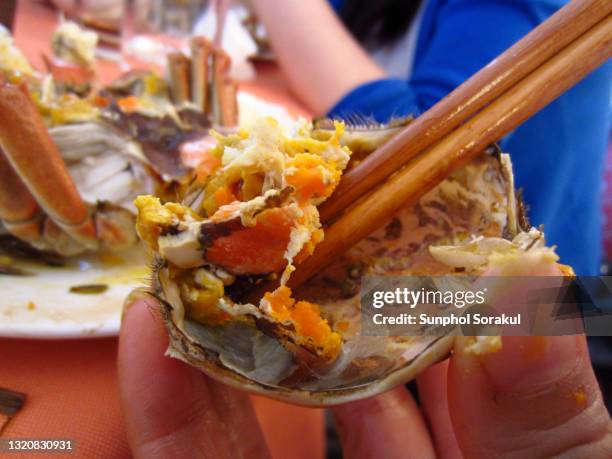 roe on steamed yangcheng lake hairy crabs served on dish. china - behaart stock-fotos und bilder