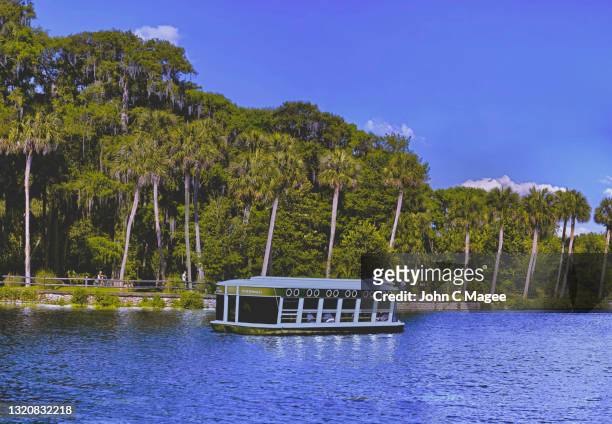 glass bottom boat - ocala stock pictures, royalty-free photos & images