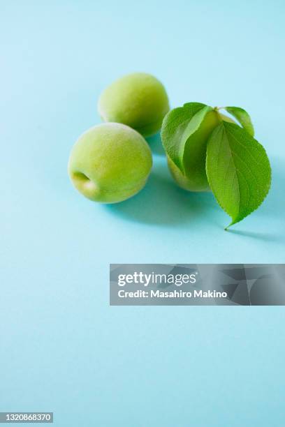 japanese plums - prunus mume stock pictures, royalty-free photos & images