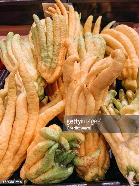 buddha’s hand - citron stock pictures, royalty-free photos & images