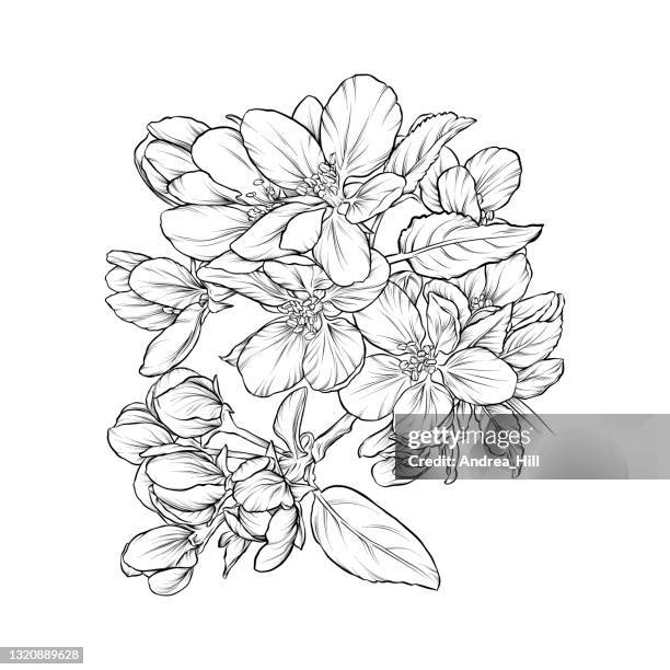 223 fotos e imágenes de Black And White Cherry Blossom - Getty Images 223 fotos e imágenes de Black And White Cherry Blossom - Getty Images