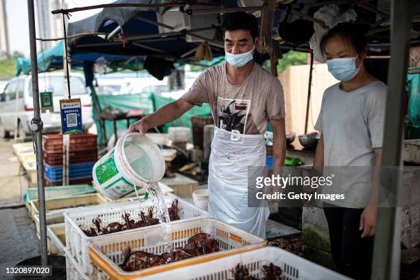 Vendors sell fish at an open market on May 31, 2021 in Wuhan, China. A renewed interest in the origins of COVID-19 has emerged after U.S. President...