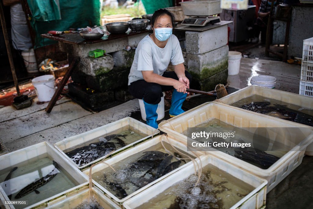 Scenes Of Wuhan As Interest Renews In COVID-19 Origins