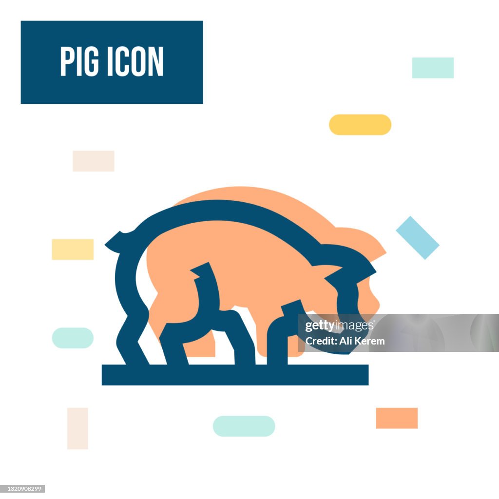 Pig Icon