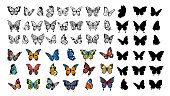 Butterfly collection. Drawing butterflies, silhouette and color flying insects. Spring animals, wild meadow or forest characters vector set