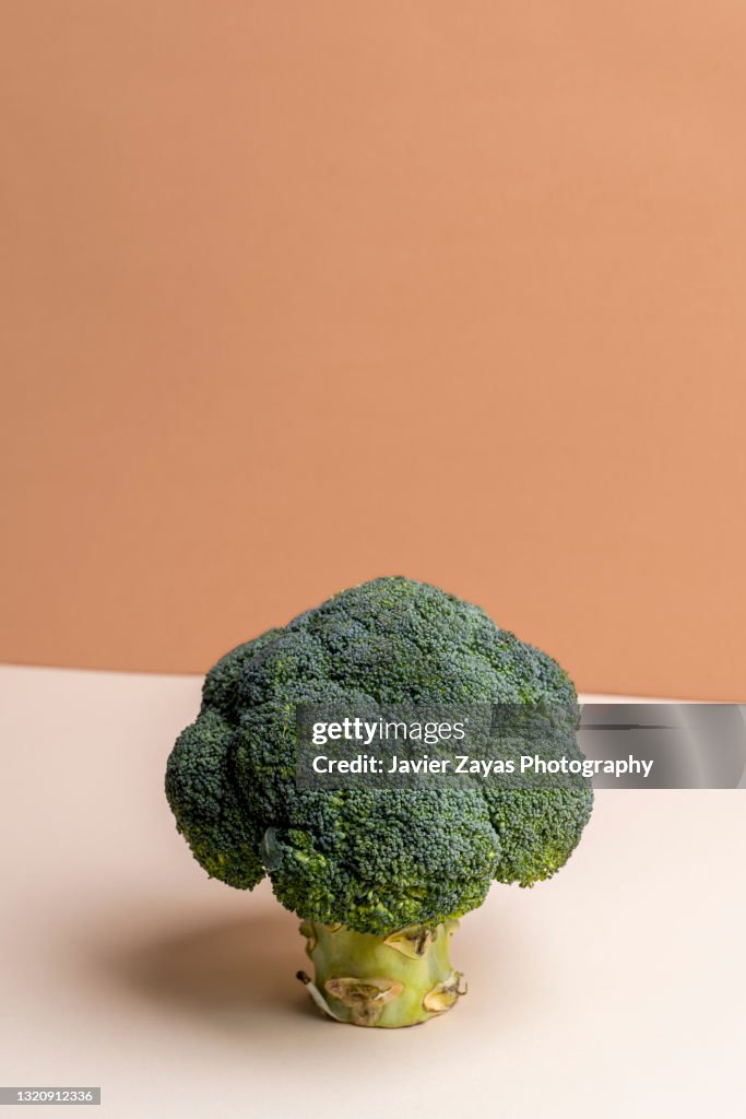 Close-Up Of Broccoli Against Pastel Background