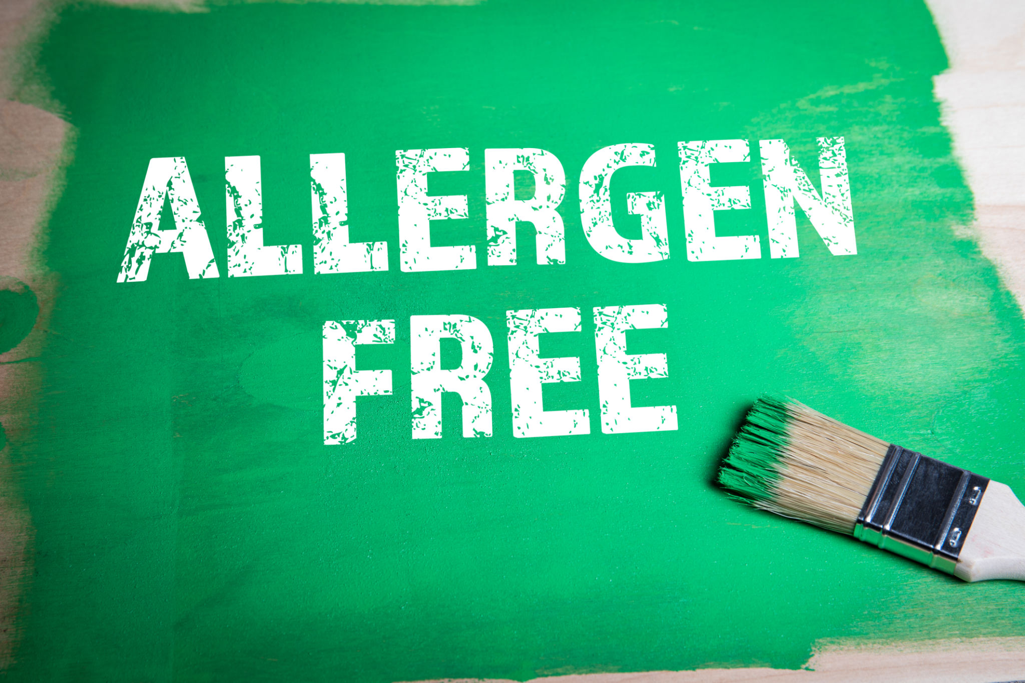 allergen free home