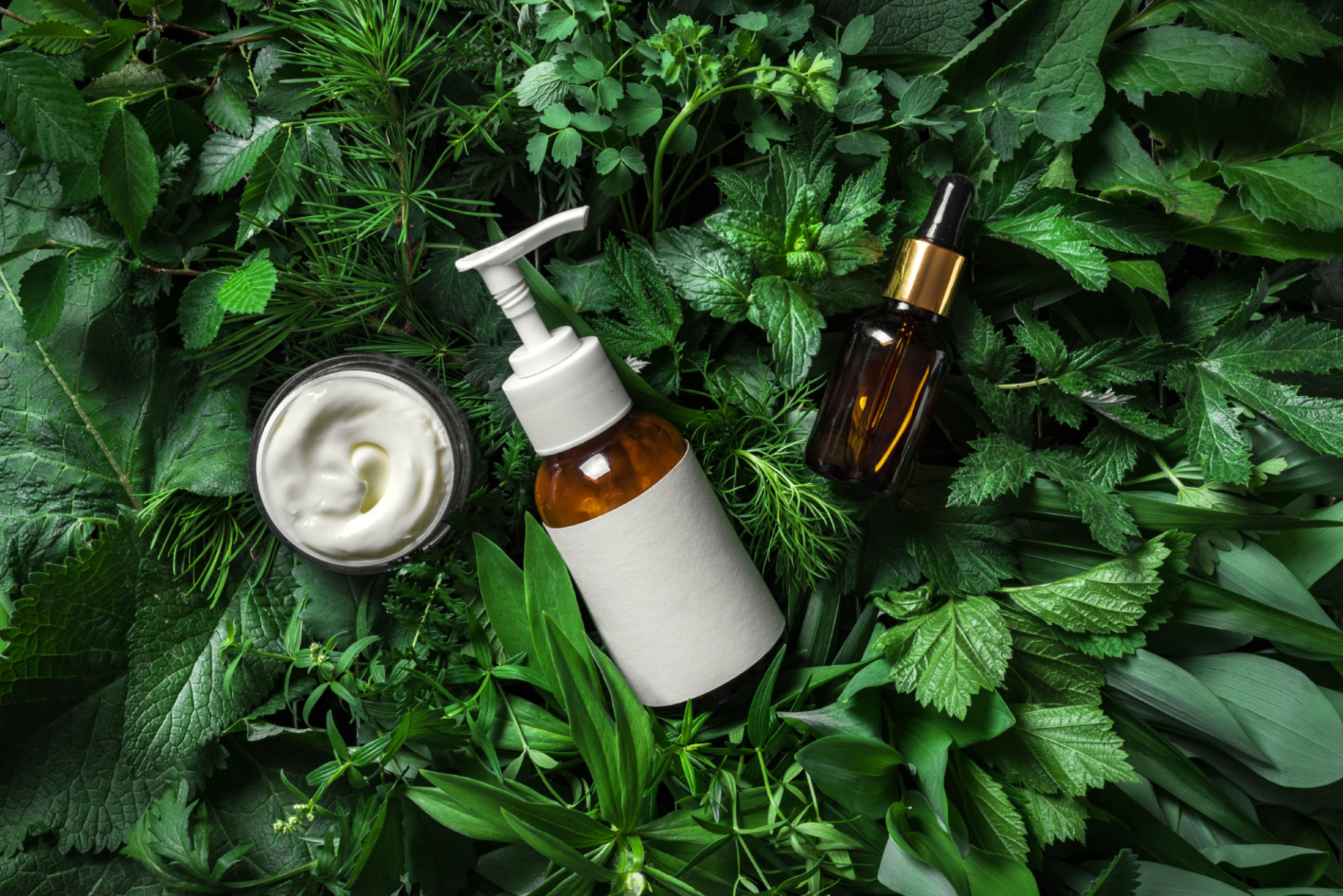 eco beauty products
