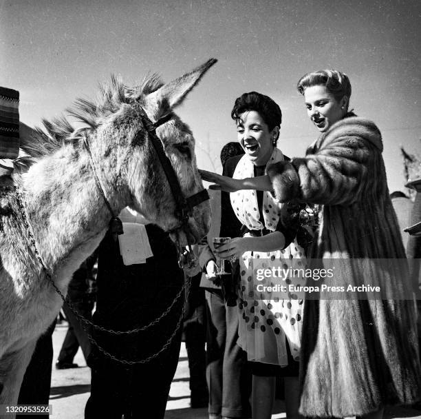 American actress Linda Cristal and american actress Martha Hyer Jane pat a donkey during their visit to Spain where they attended the inauguration of...