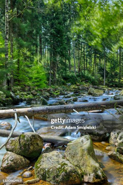 bergbach (hdri) - riesengebirge stock-fotos und bilder