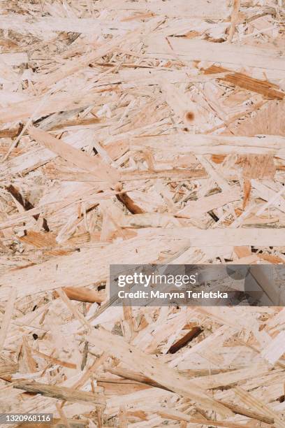 natural background with wood shavings. - ruffled sheets stock pictures, royalty-free photos & images