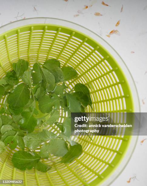 radish leaves - food waste stockfoto's en -beelden