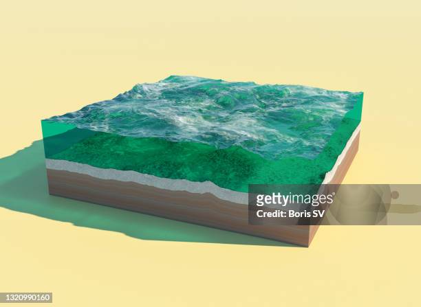 cross-section of clean ocean - reliefkarta bildbanksfoton och bilder